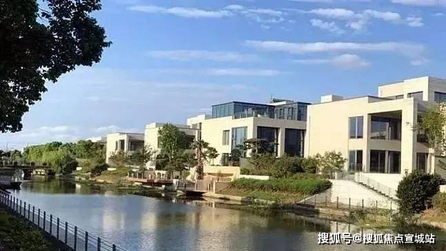 探秘上海治疗脱发的费用，从价格到价值的深度解析