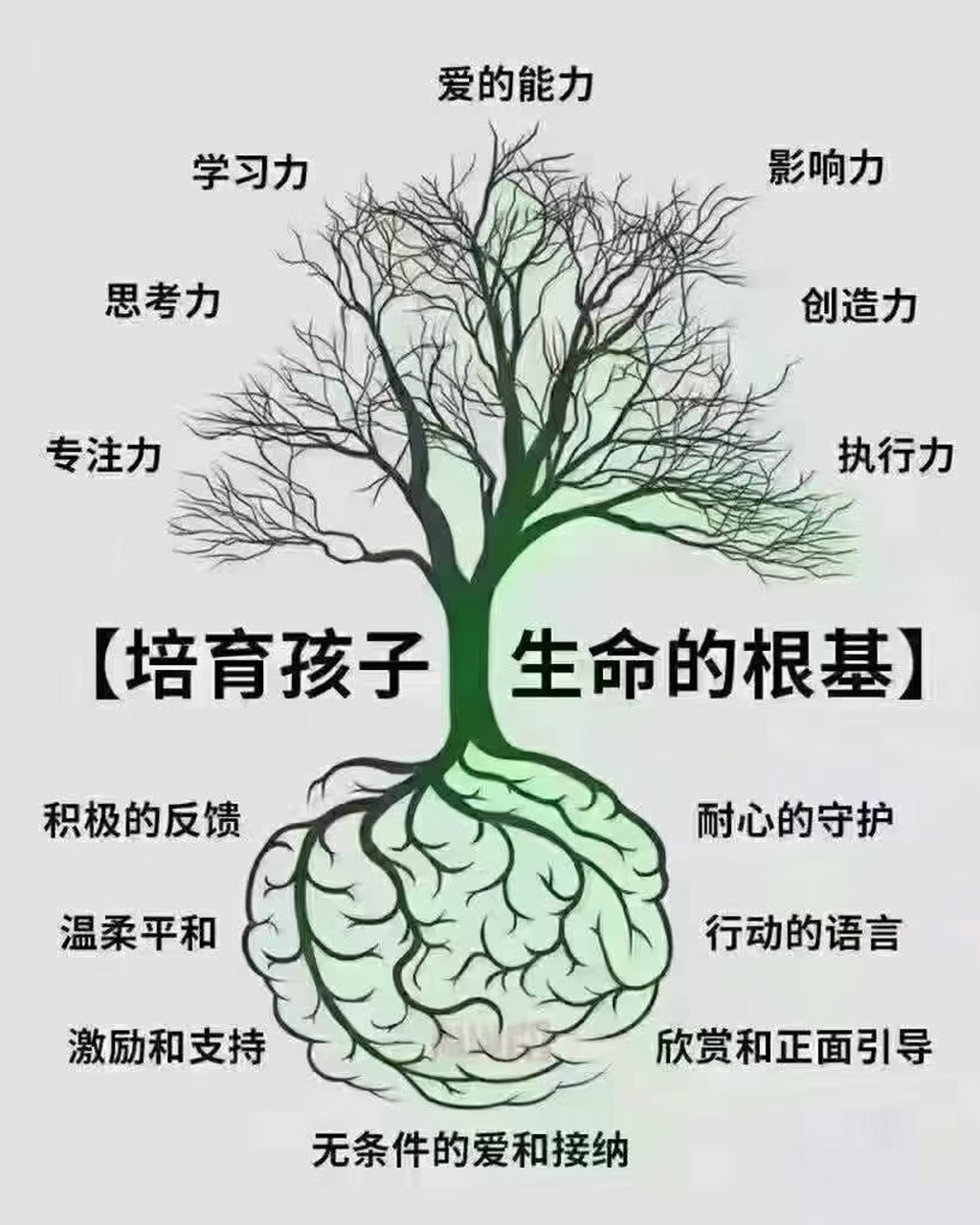 优根，滋养心灵与成长的内在力量