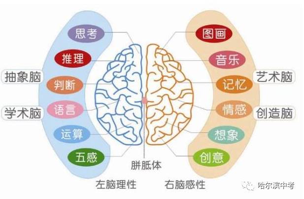 痤疮的中医治疗，探索传统智慧在现代医学中的新篇章