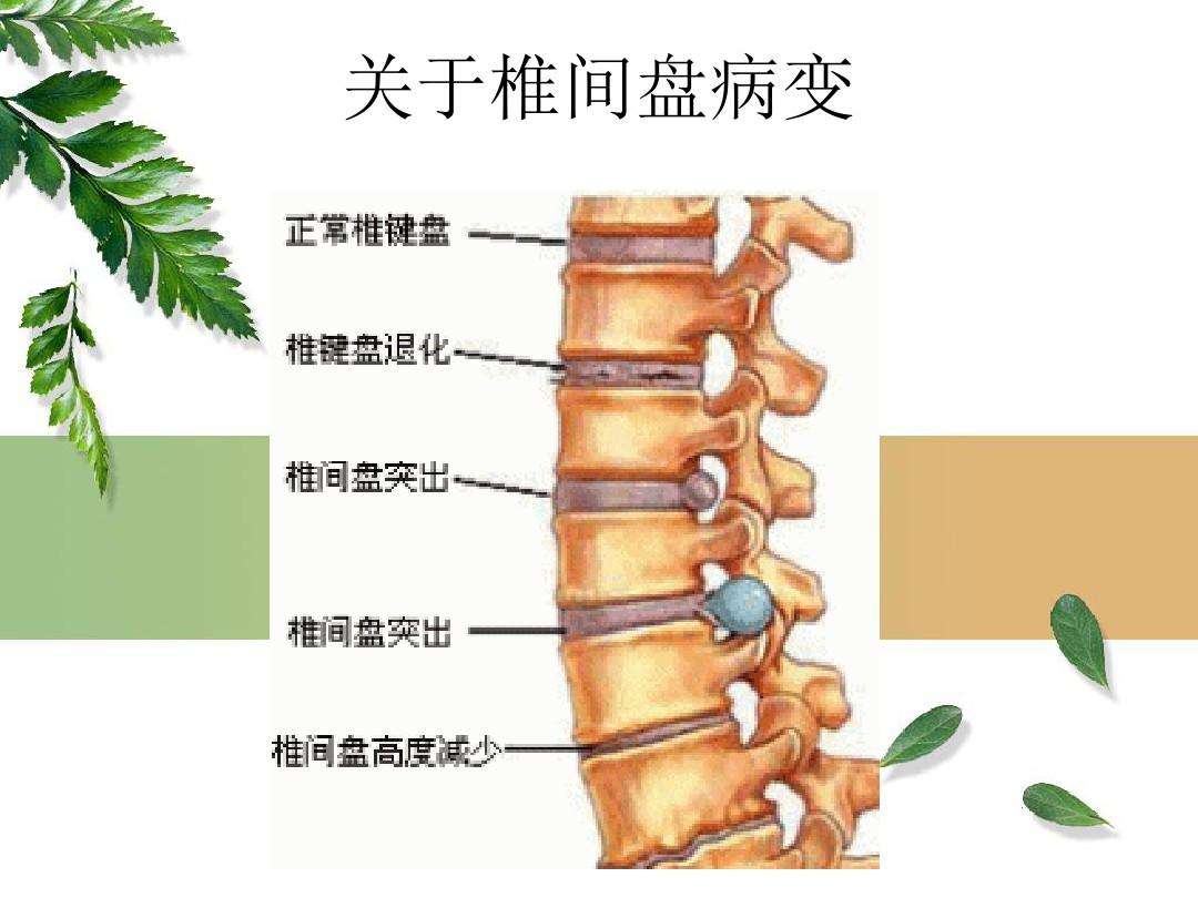 探索内筋膜复位术，重塑身体自然修复力的新篇章