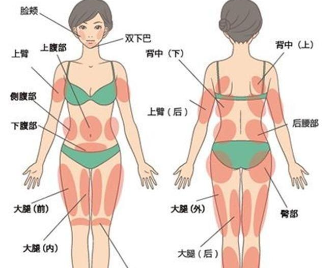 探索美丽新境界，自体脂肪丰臀的全面解析