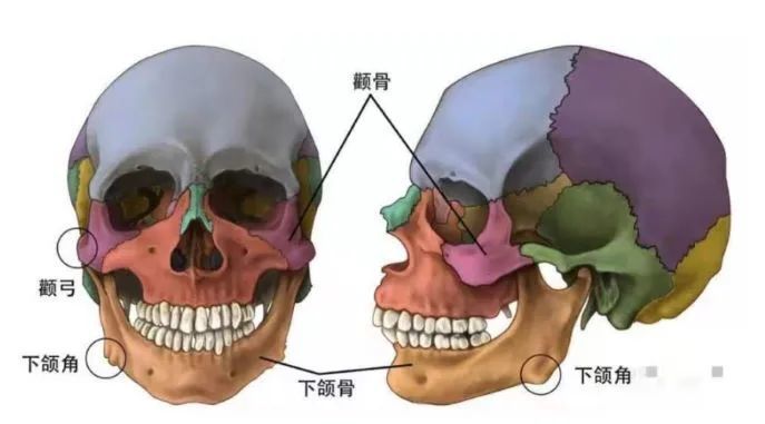 探索下颌角接骨整形技术的奥秘