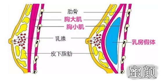 探索胸手感的奥秘，一场关于触感与情感的深度对话