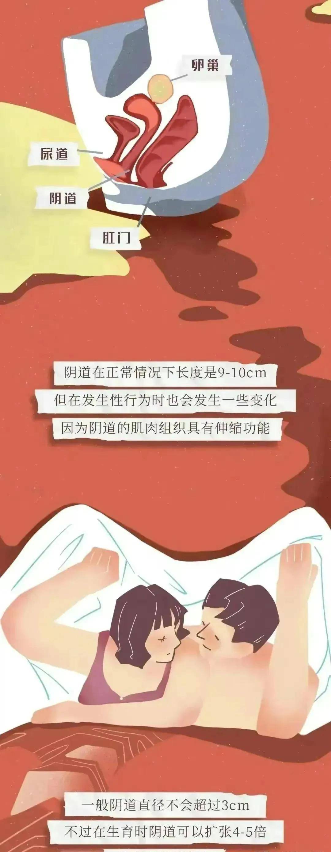 探寻最美的阴部，性教育中的敏感话题与文化误解