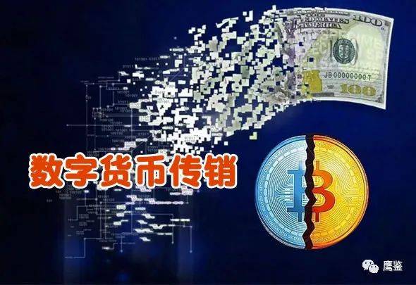 探索42982金牛网，数字背后的财富与机遇