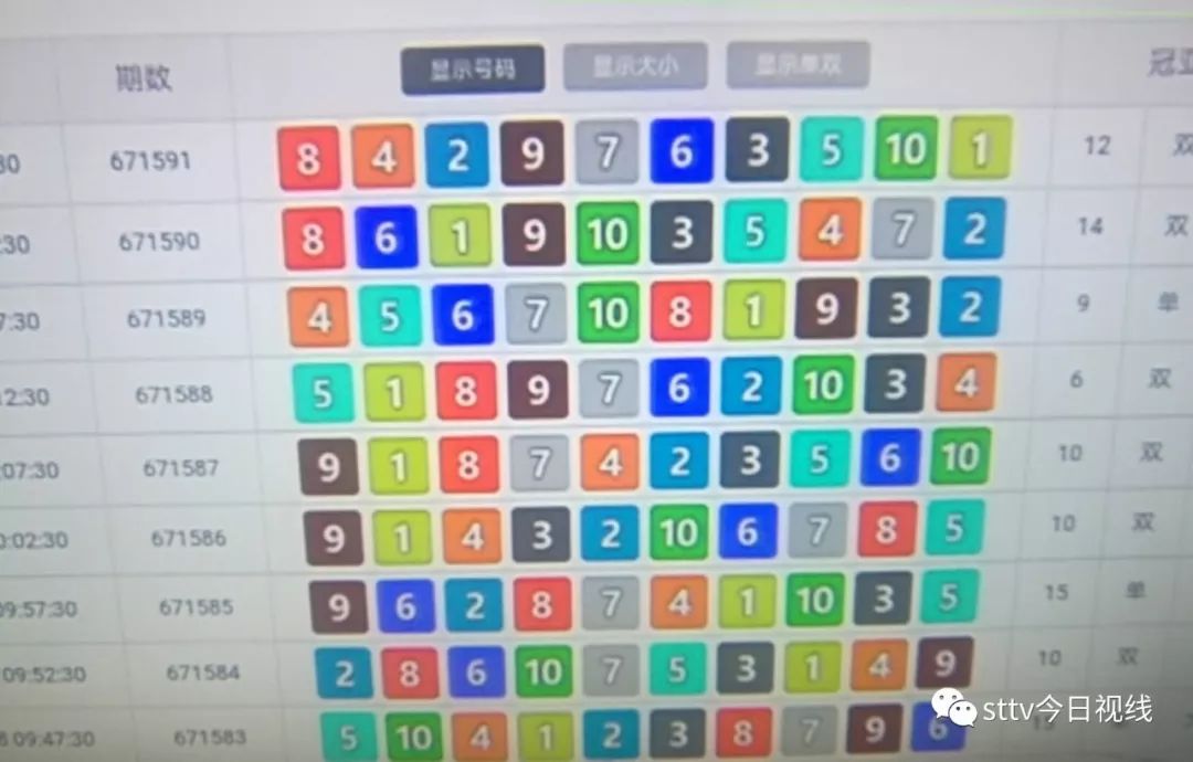 今日特马，揭秘彩票背后的数字游戏与心理博弈