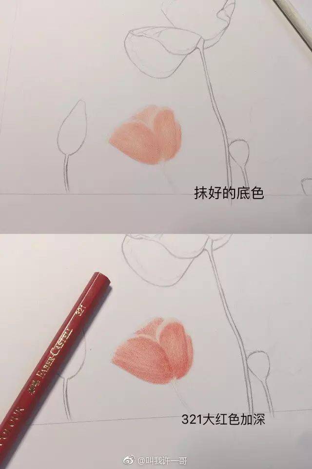 彩铅画基础教程