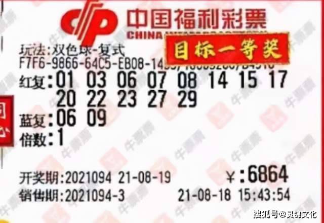 探索双色球51期开奖的奥秘，数字背后的惊喜与期待