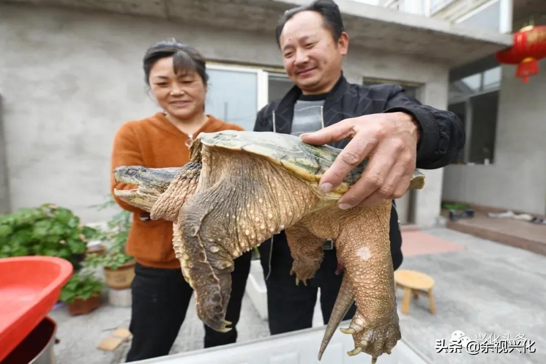 天空的奇迹：指代自然界的壮观景象或超乎寻常的奇观