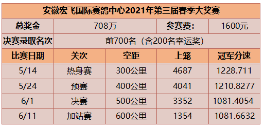 揭秘双色球，高效杀一红与绝杀十红策略全解析