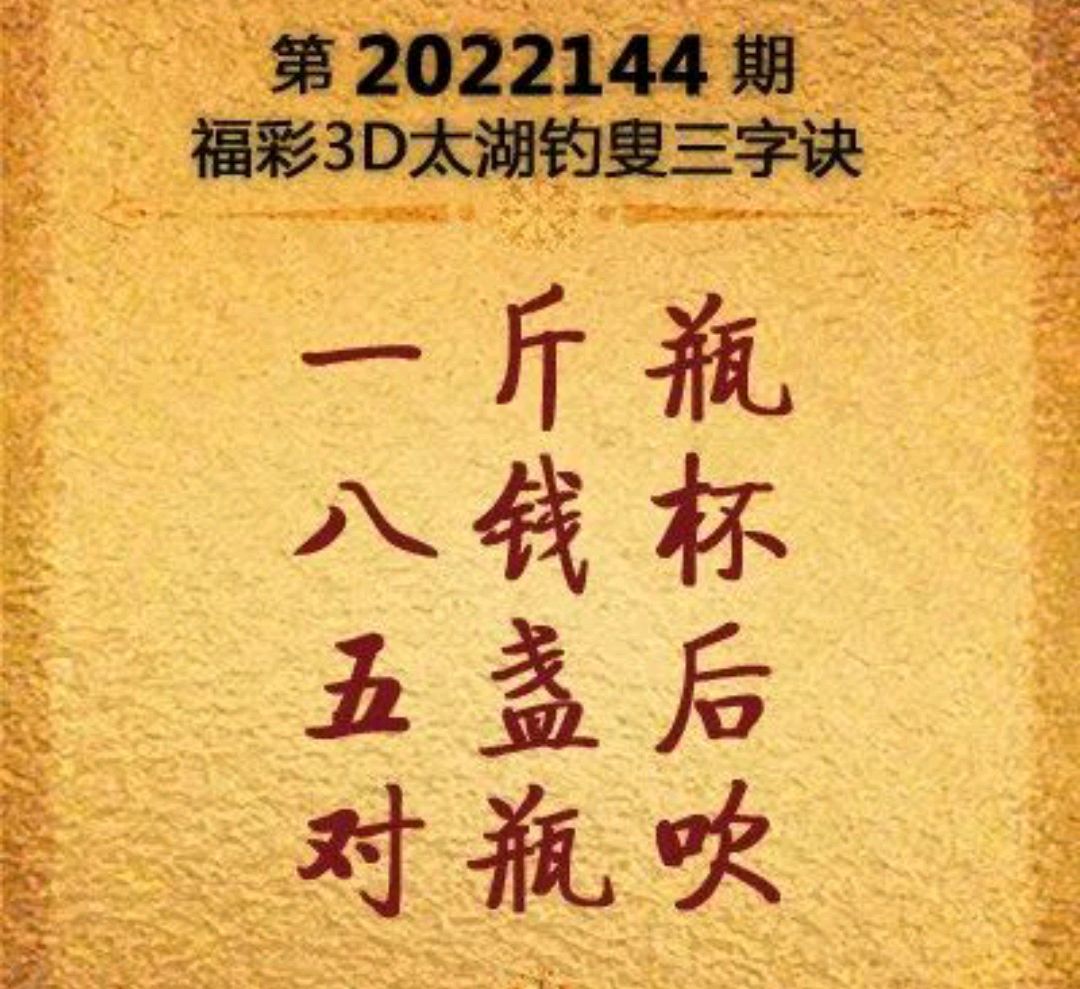 太湖钓叟3D字谜总汇2023，揭秘数字背后的智慧与乐趣