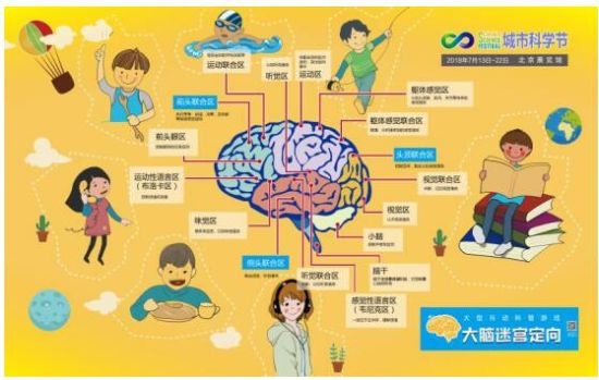 探索中国3D福利彩票排列五的奥秘与魅力