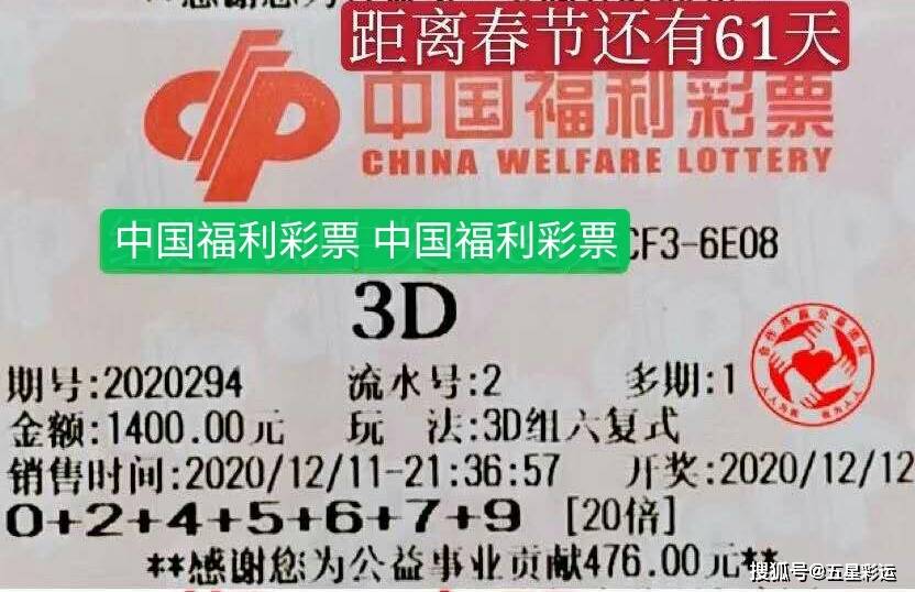 探索中国3D福利彩票2022105的魅力与影响