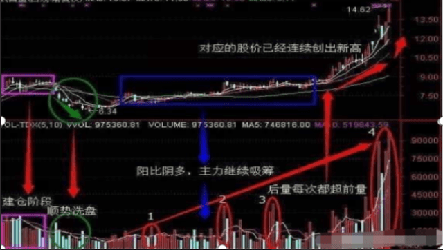 探索体彩七位数与和值走势图，数字背后的奥秘与策略