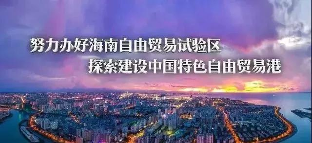 探索海南，热带天堂的魅力与未来展望