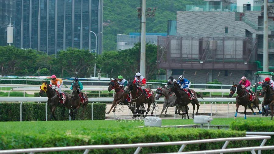 揭秘香港马会开奖结果—深度解析与观赛指南开奖结果香港马看开奖澳门今晚开奖