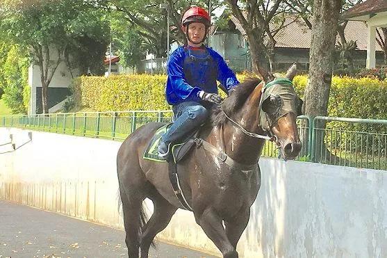 探索香港马会，全年资料大全的深度解析香港2021年马会资料大全