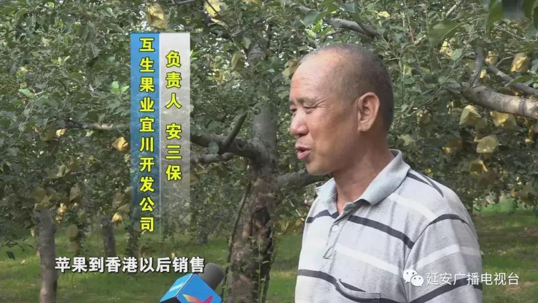 香港金融挂牌