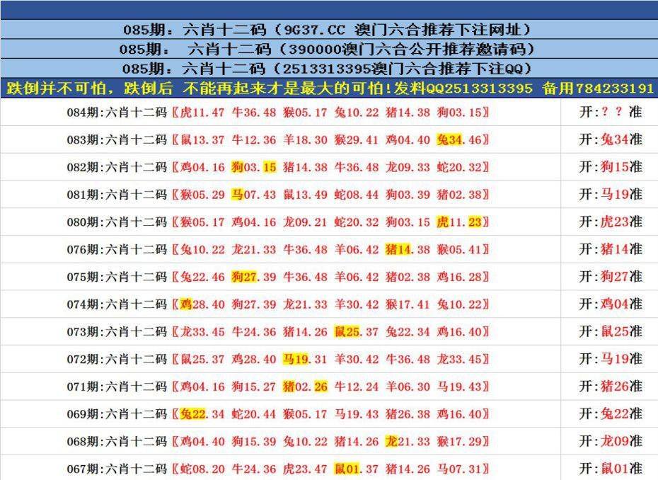 揭秘香港全港四肖八码精选资料，真相与误区香港四肖八码精选正