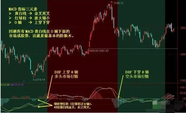 揭秘三肖选一，洞悉码上玄机