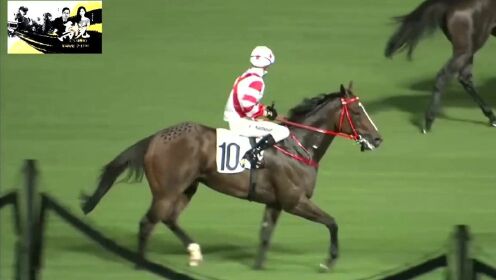 买马资料图2018今晚，一场关于智慧与策略的较量买马资料图2018第19期