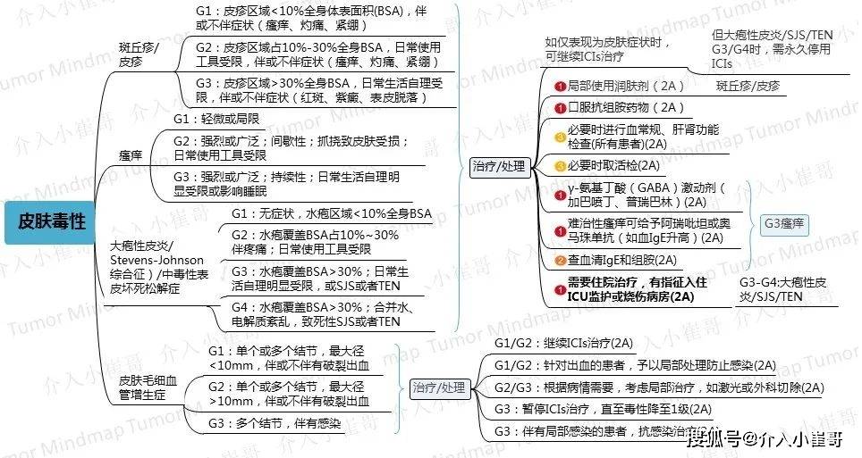 新奥门开奖直播的全面指南—时间表、图片大全与视频下载安装教程详解（非赌博视角）新澳门开奖直播
