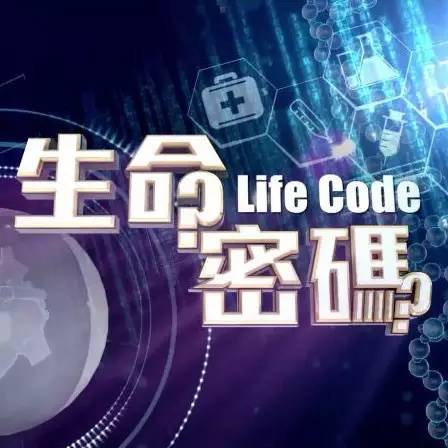 探索新奥门开奖直播的神秘时刻，一场精彩绝伦的视频讲解之旅新奥门开奖直播时间几点开始啊呢视频讲解了