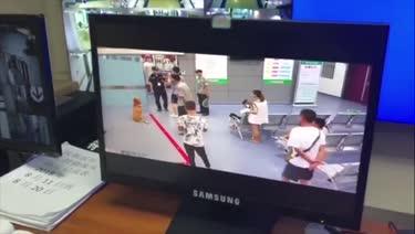 探索新奥门开奖直播，回放视频的观看与苹果设备安装指南新澳门开奖直播