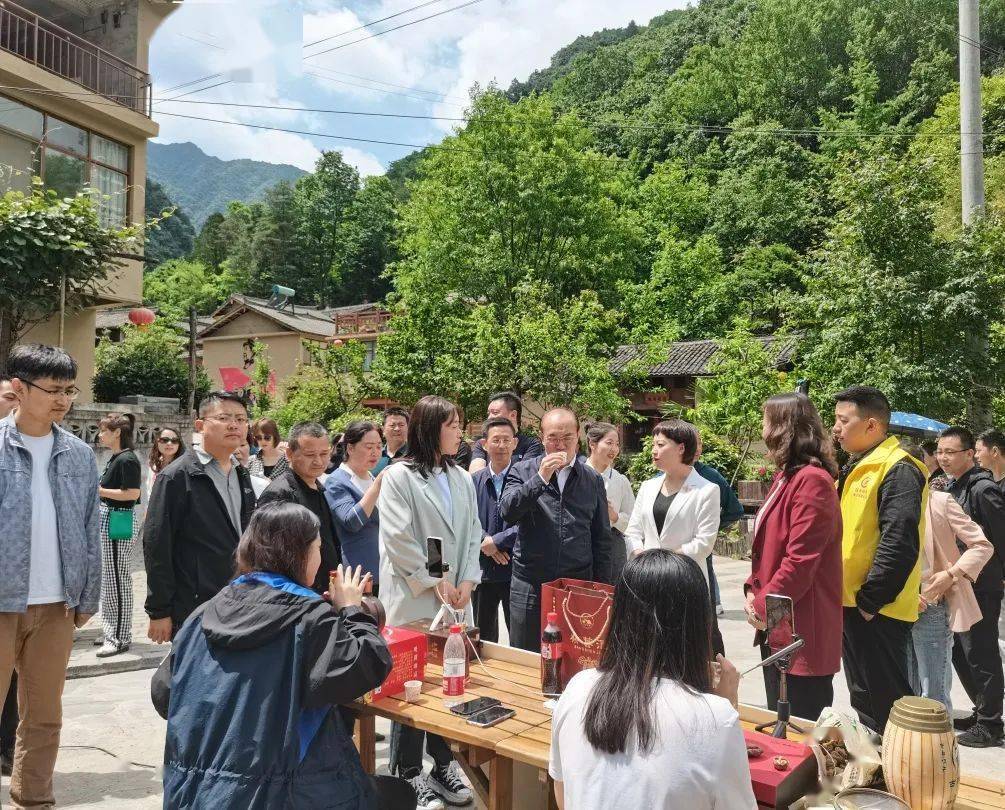 新奥门开奖直播在哪看到的啊视频下载安装了没有