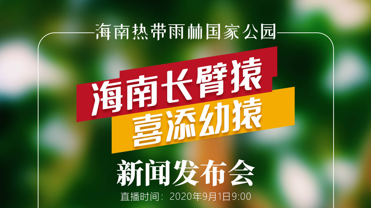 探寻新奥门开奖直播的最新消息与今日结果新澳门开奖直播