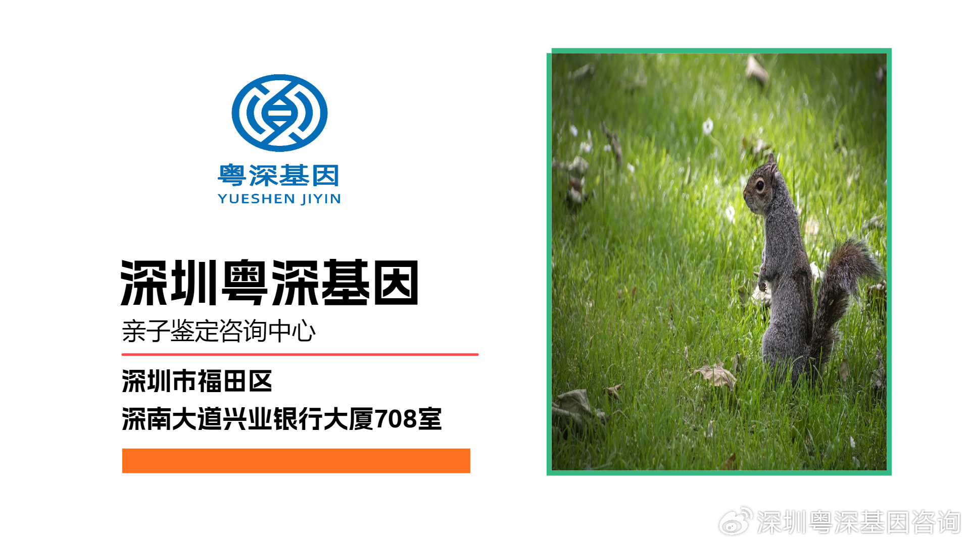 探索新奥门开奖走势，全面解析与安全下载指南新澳门开奖结果2020+开奖记录_